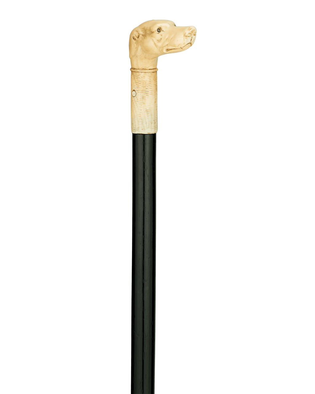Bone Dog Cane