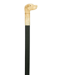Bone Dog Cane
