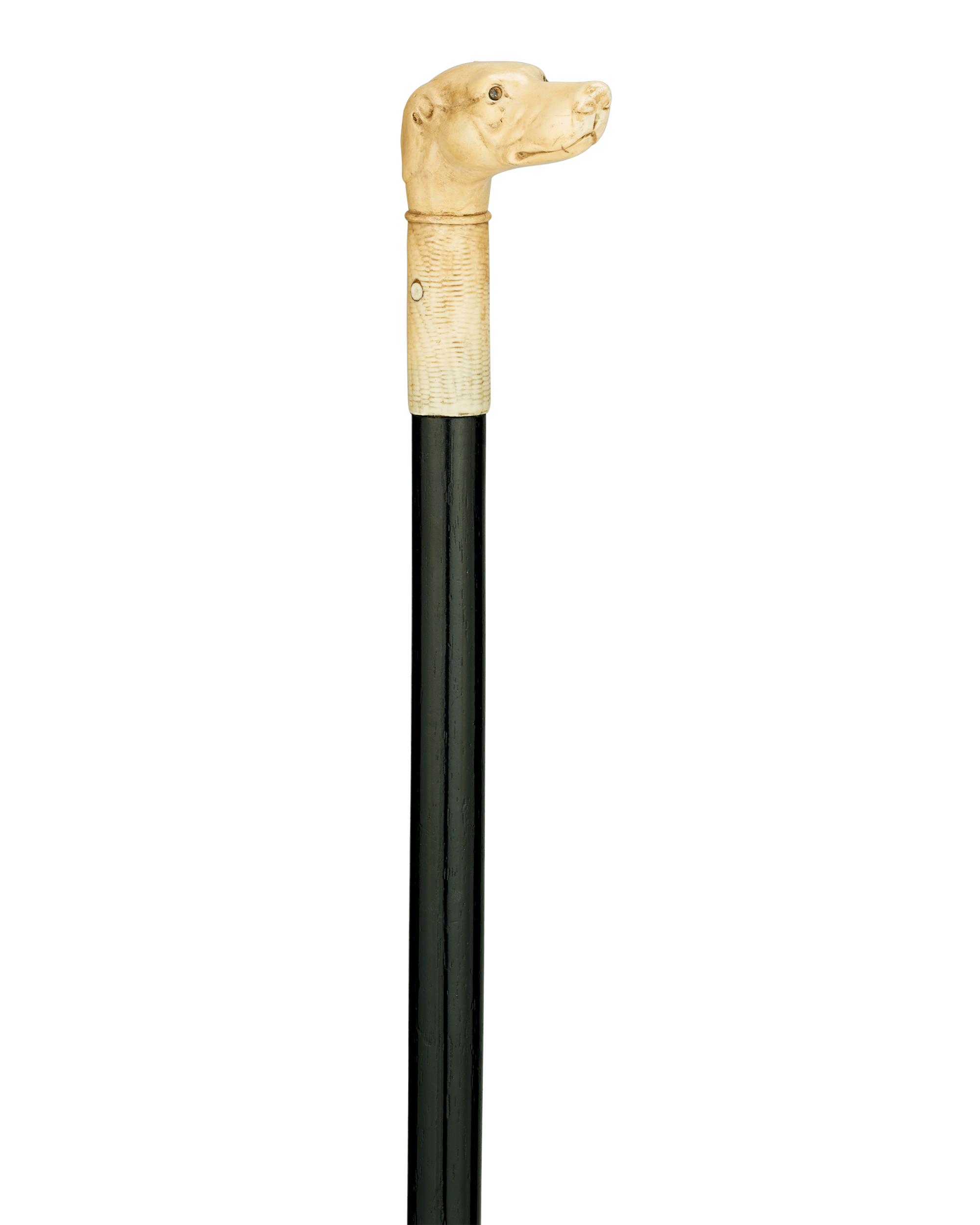 Bone Dog Cane