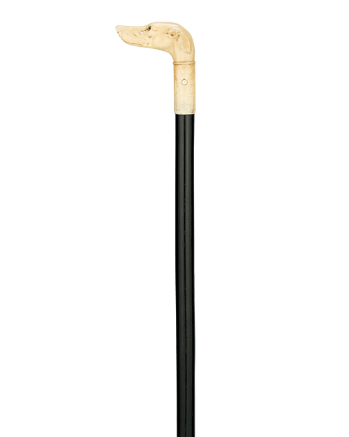 Bone Dog Cane