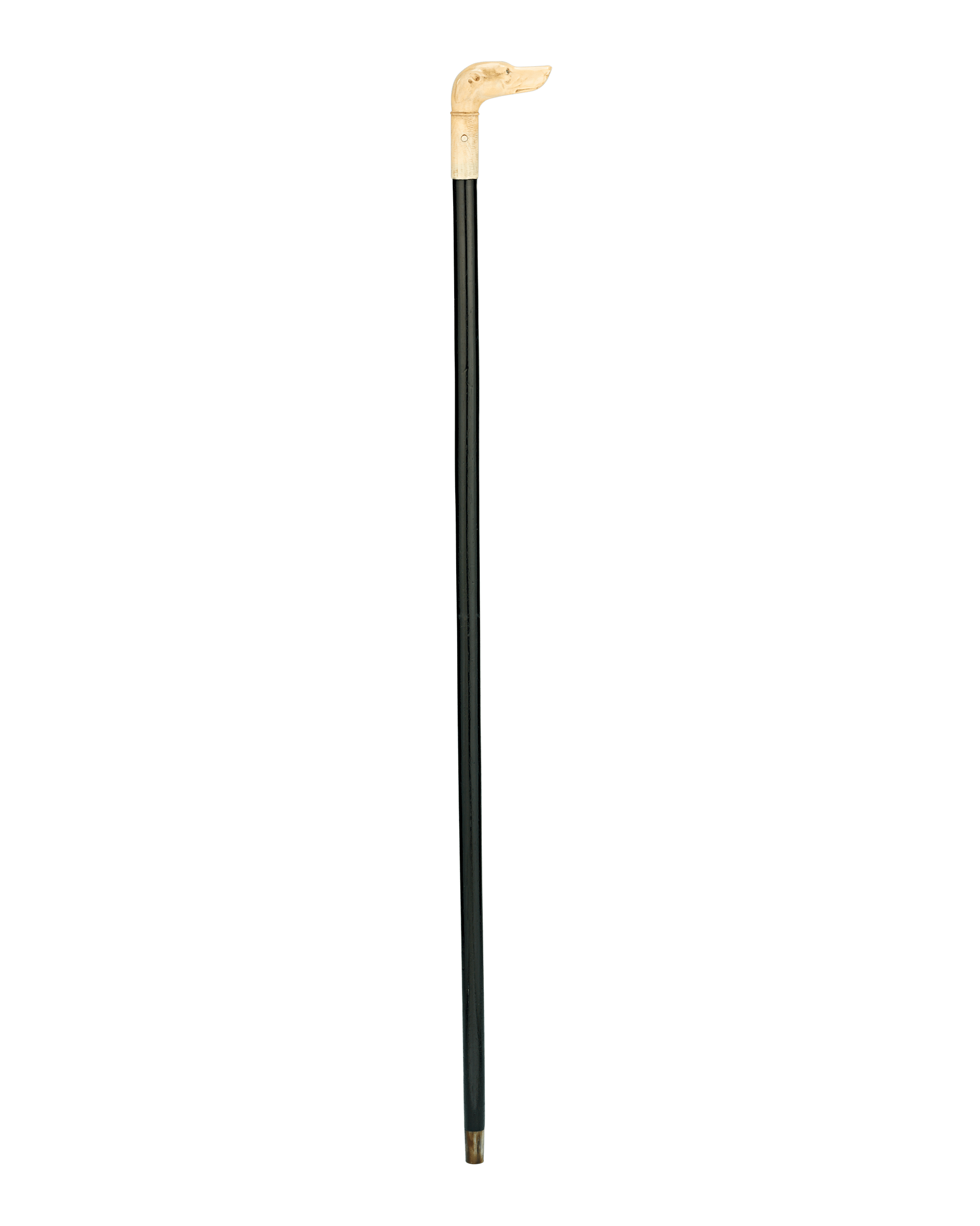 Bone Dog Cane