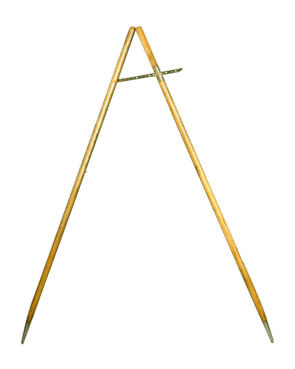 Sergeant Major's Pacing Cane