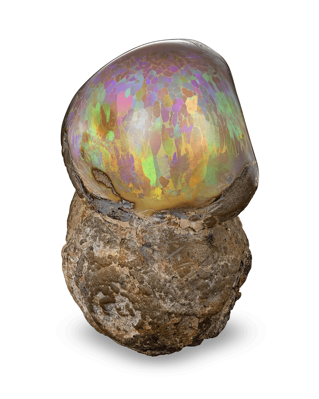 Ethiopian Mezezo Chocolate Opal Specimen