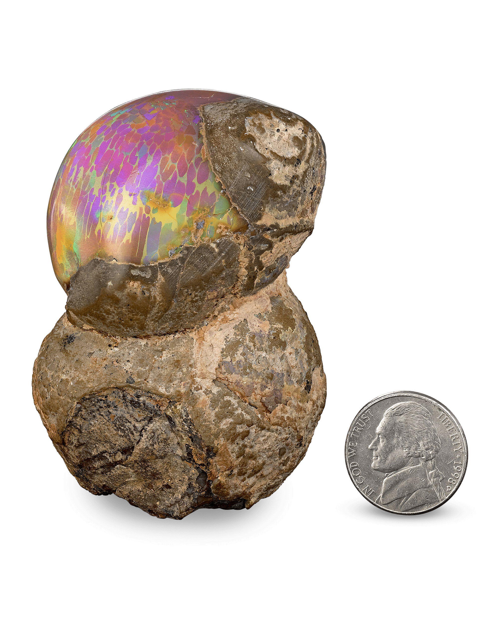 Ethiopian Mezezo Chocolate Opal Specimen