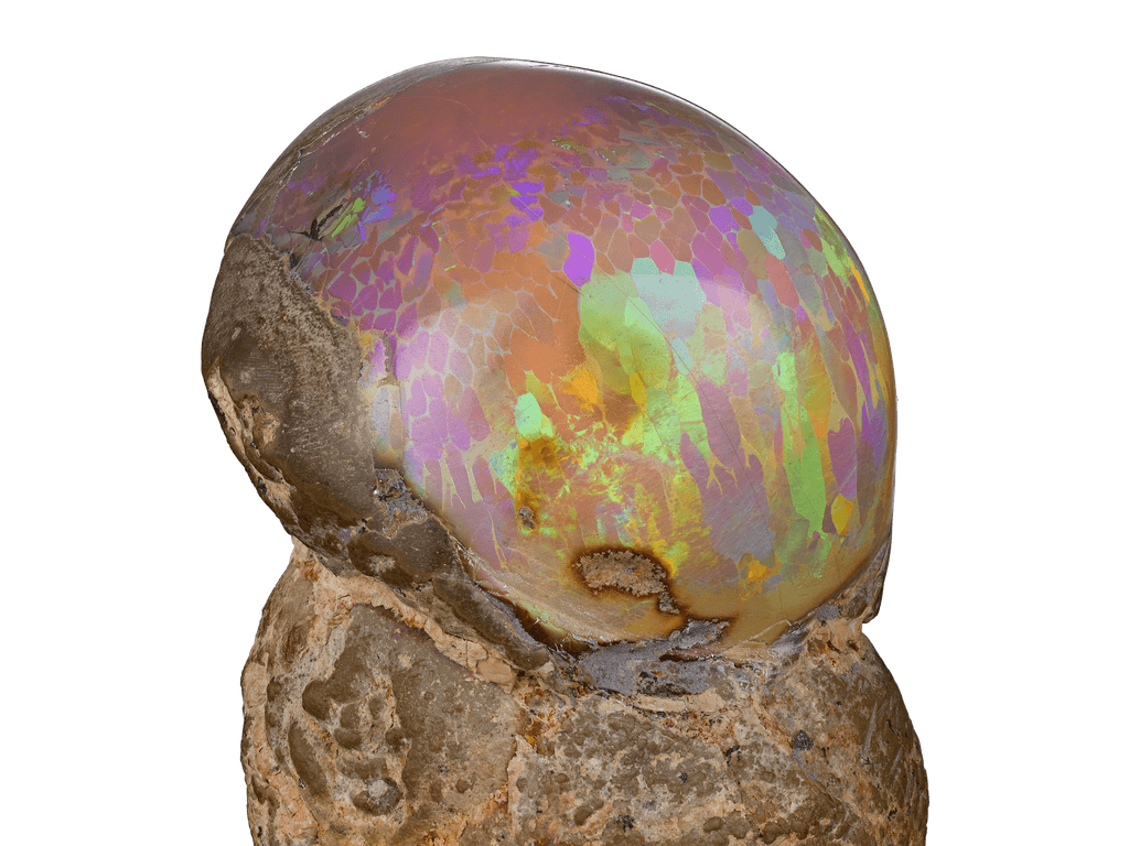 Ethiopian Mezezo Chocolate Opal Specimen