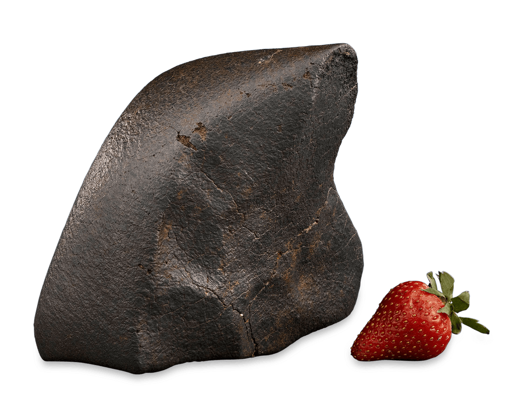 Oriented Nose Cone Chondrite Meteorite
