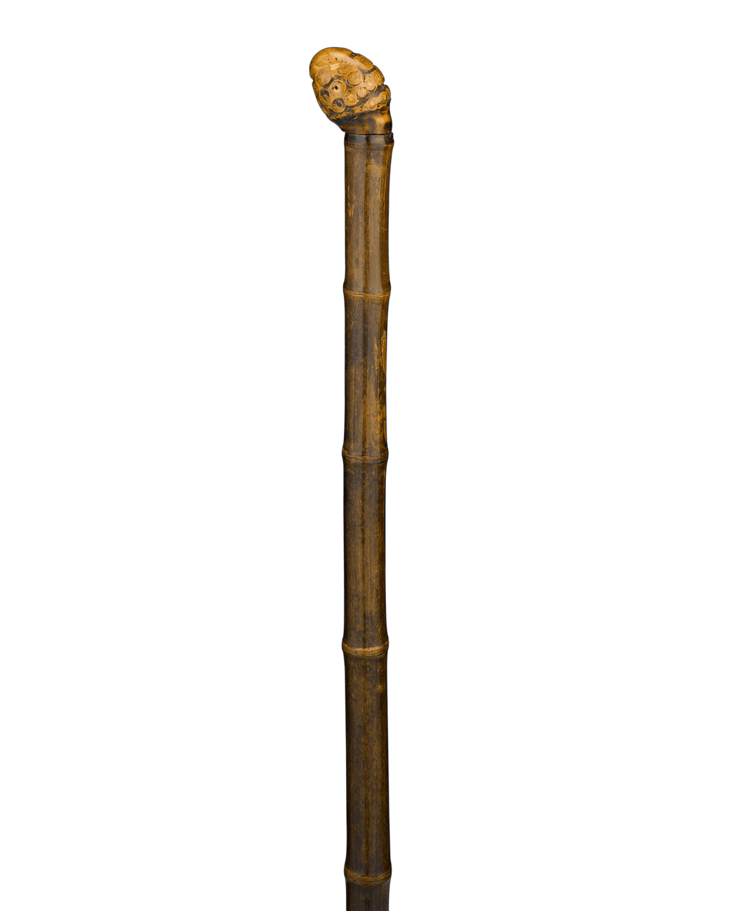 Measuring Walking Stick