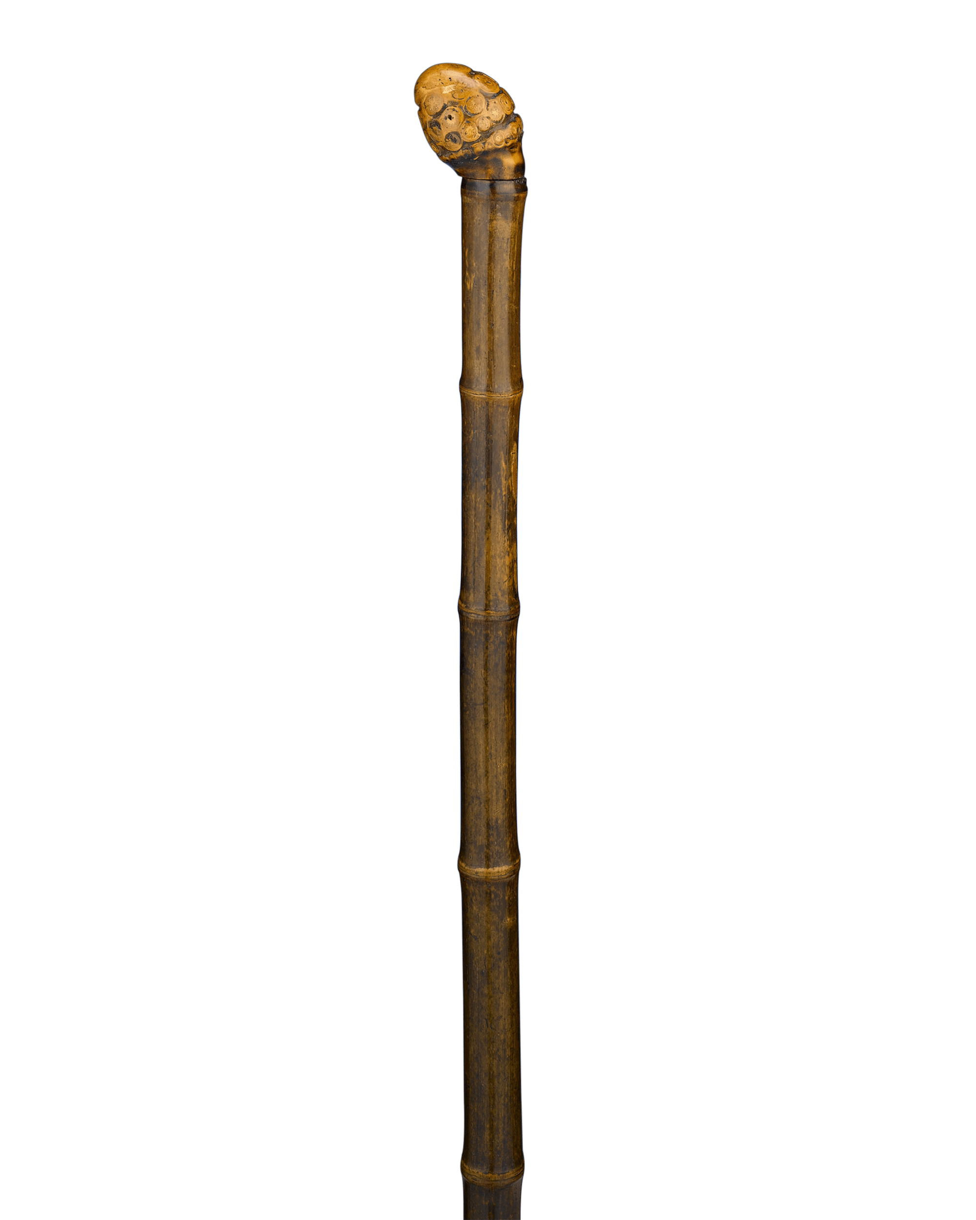 Measuring Walking Stick