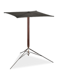 English Magician's Table Cane