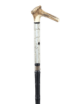 English Bird Catcher's Cane