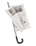 Newspaper Holder Cane
