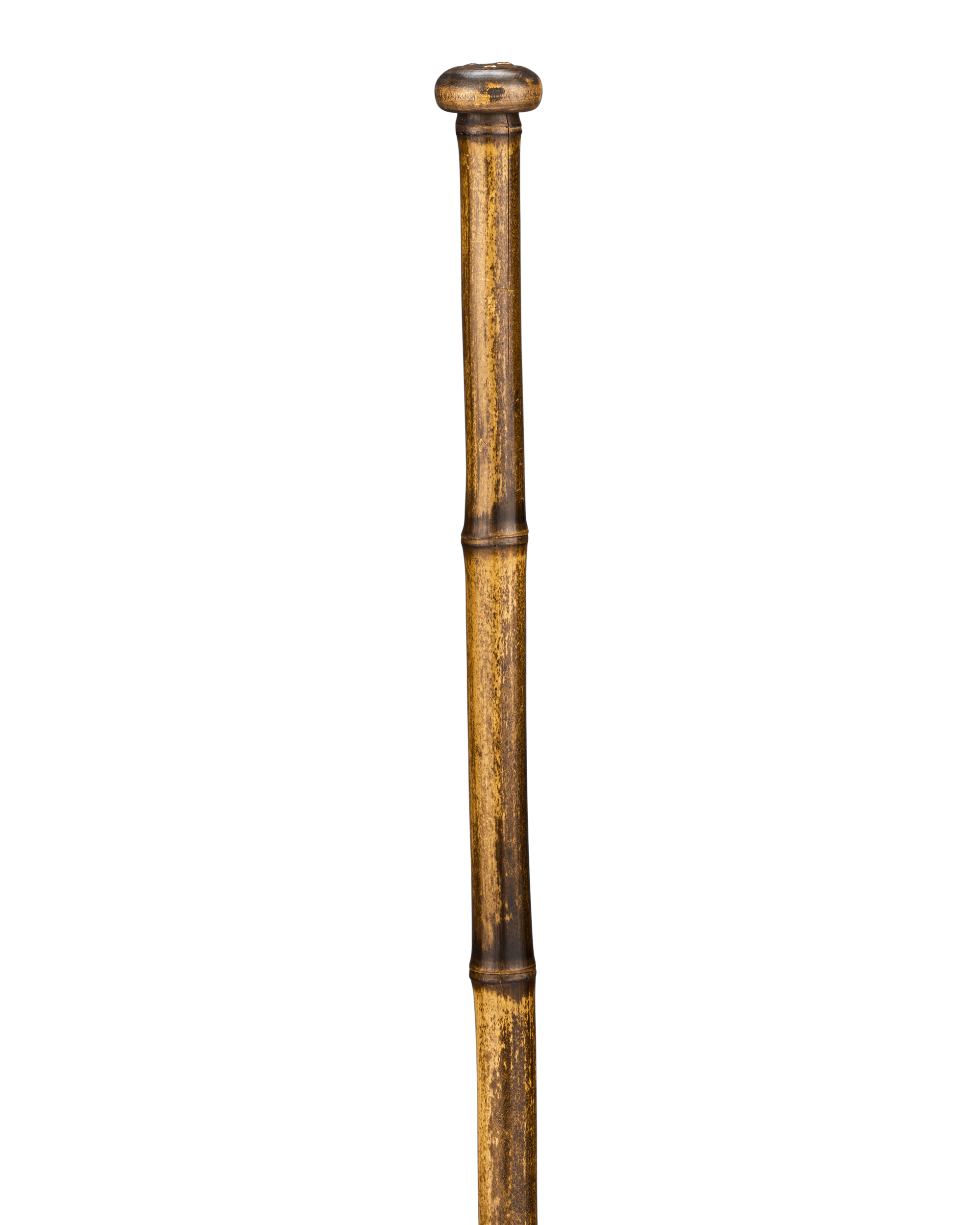 Soil Extractor Cane