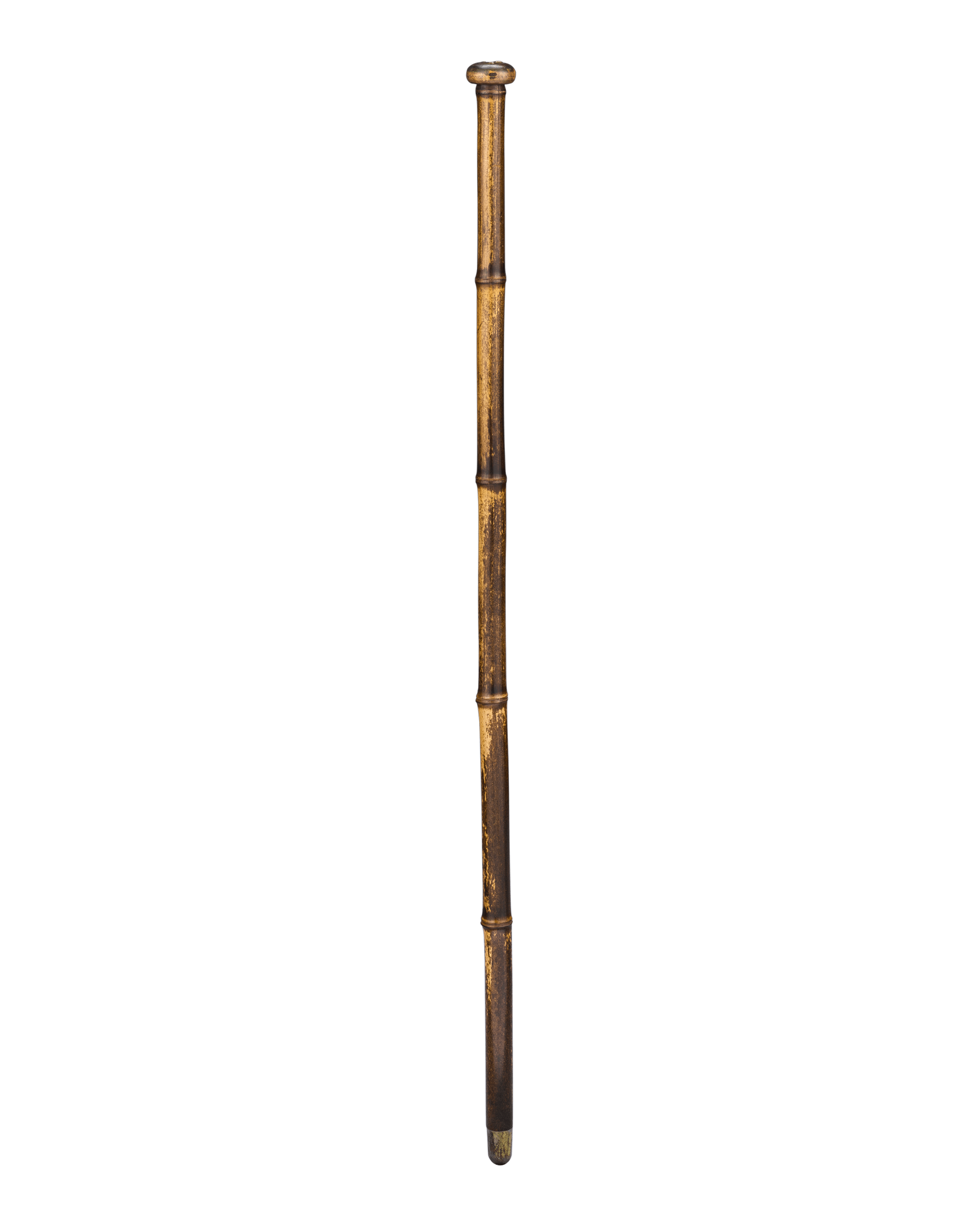 Soil Extractor Cane