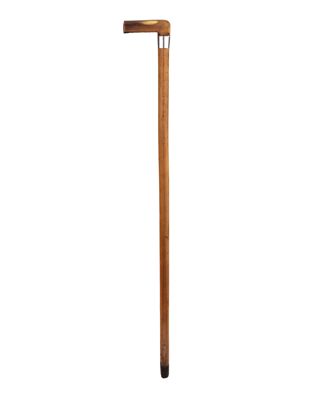 Scribe's Walking Stick