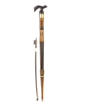 Violinist’s Cane