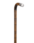 Silver-Tipped Cane