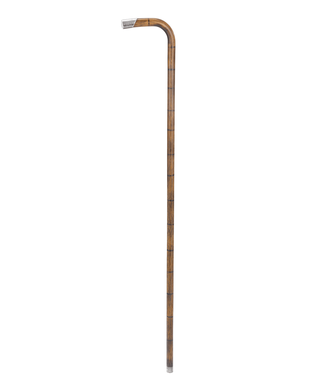 Silver-Tipped Cane