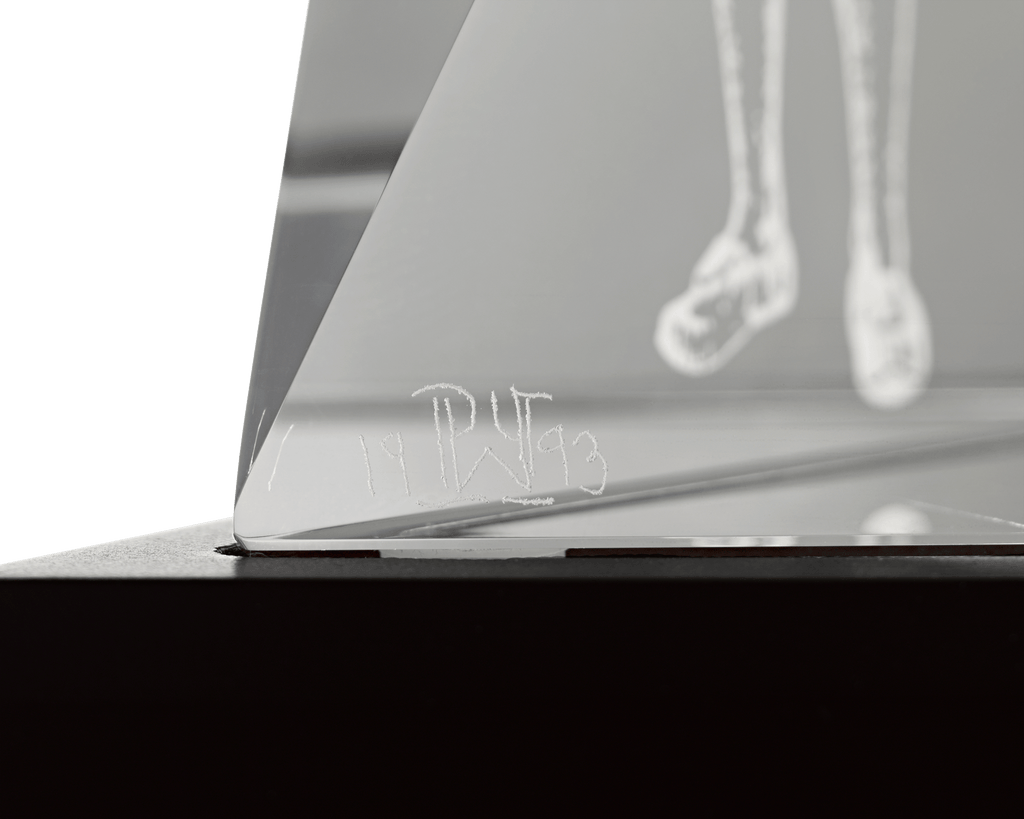 Joe DiMaggio's Jim Thorpe Lifetime Achievement Award