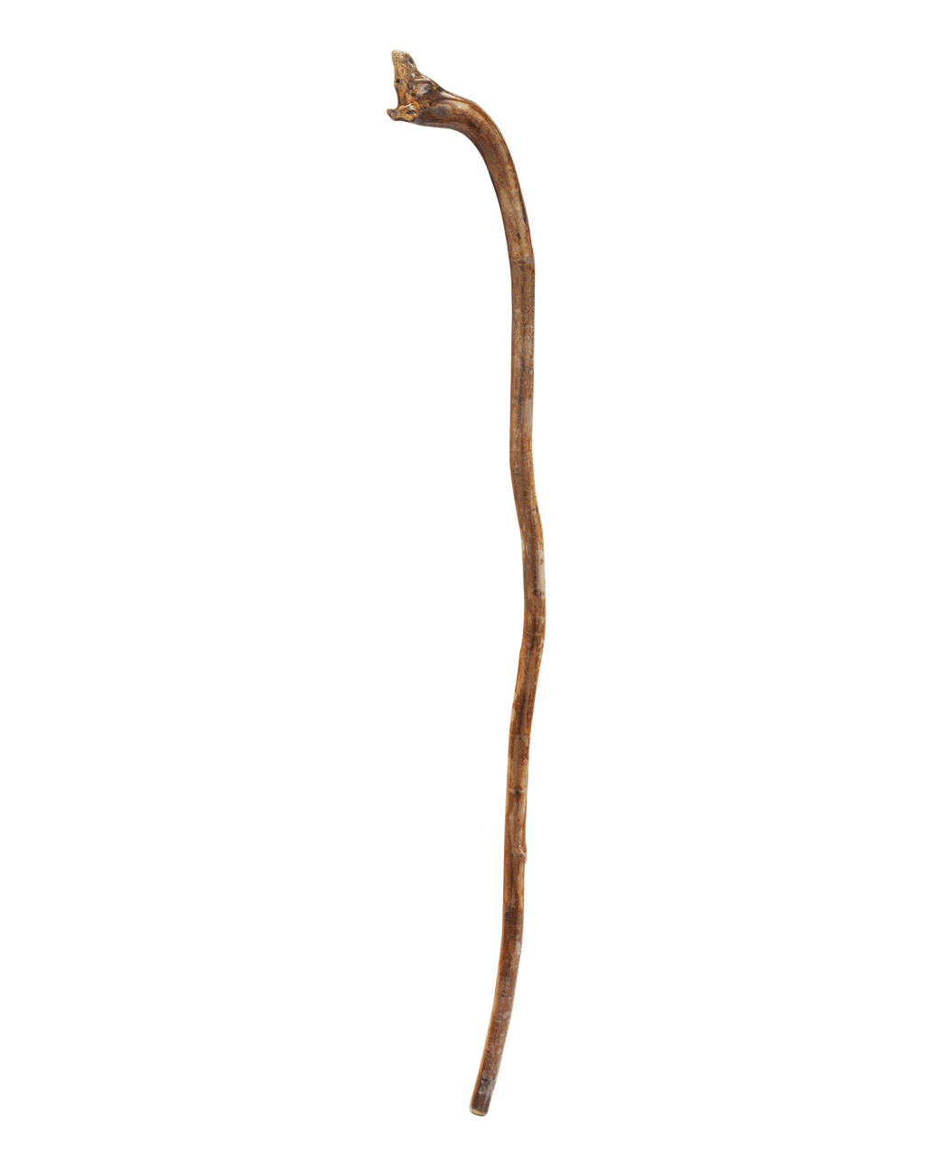 Canine Folk Art Cane