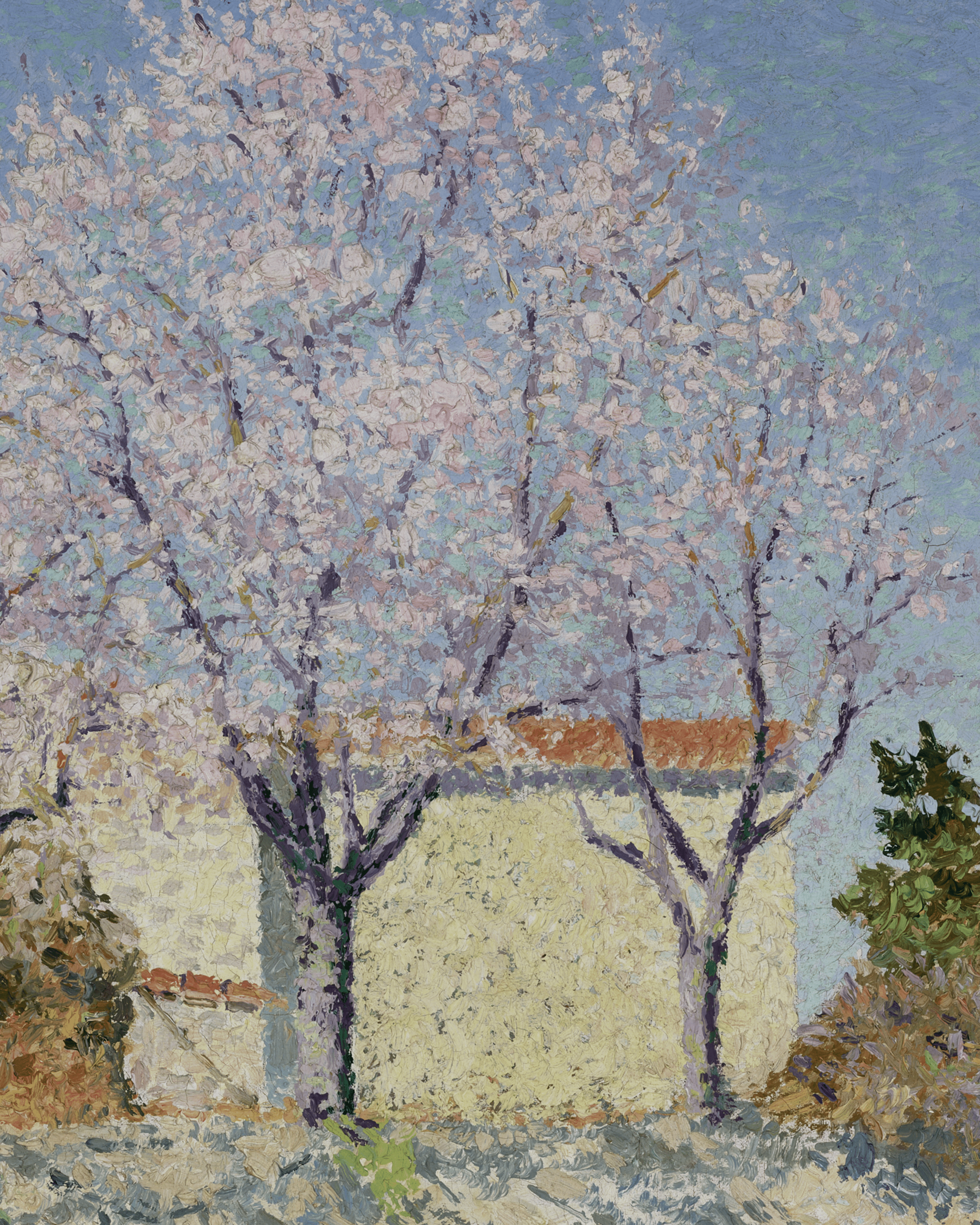 Almond Trees in Spring by Achille Laugé