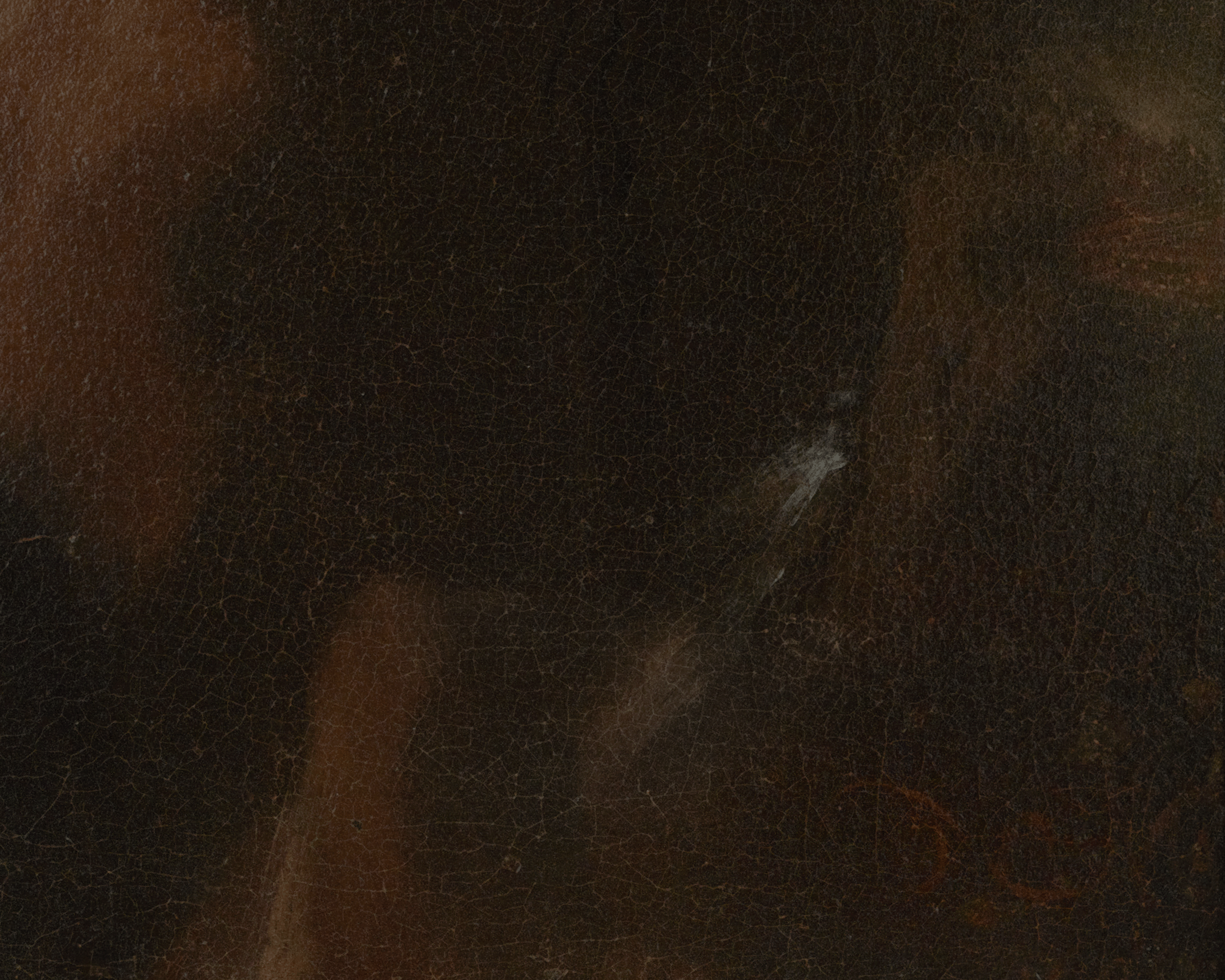 Portrait of Noble Lady by Nicolaes Maes
