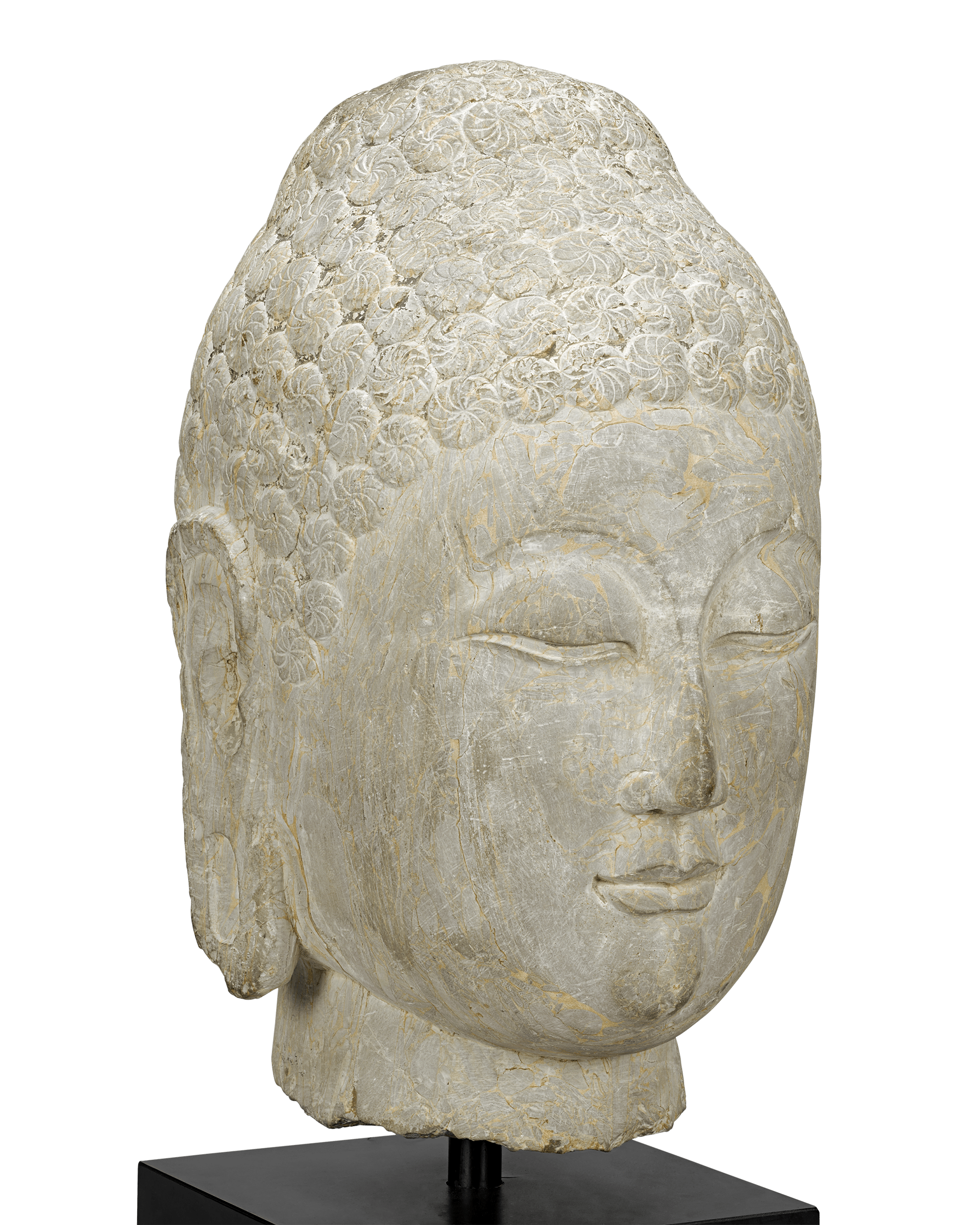 Limestone Buddha Head, 6th-Century Qi Dynasty