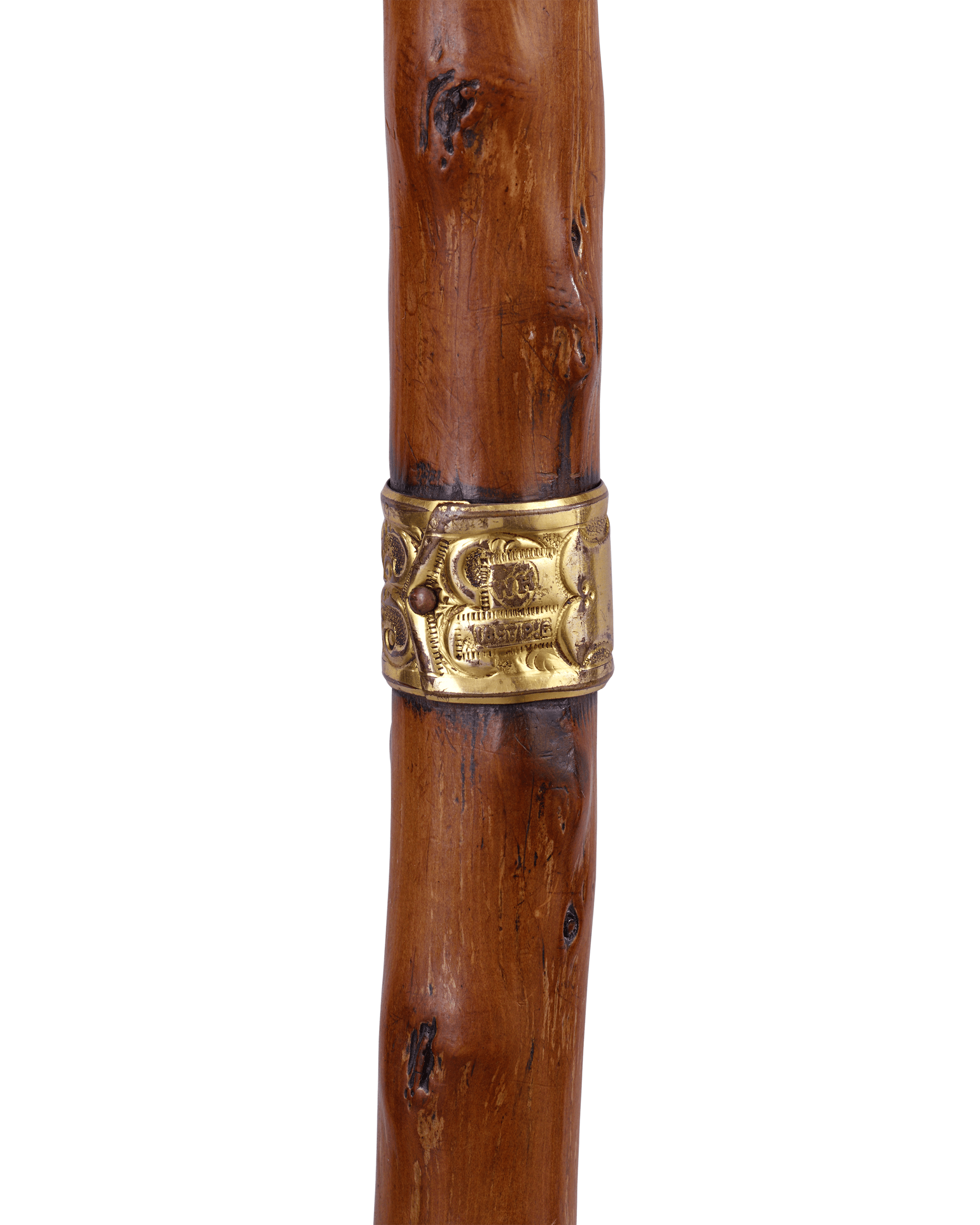Antler Cane with Duck Face