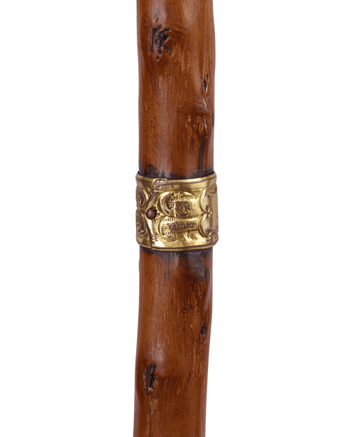 Antler Cane with Duck Face