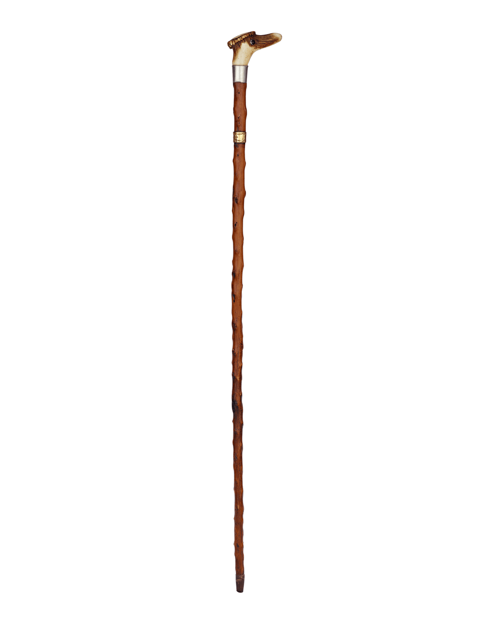 Antler Cane with Duck Face