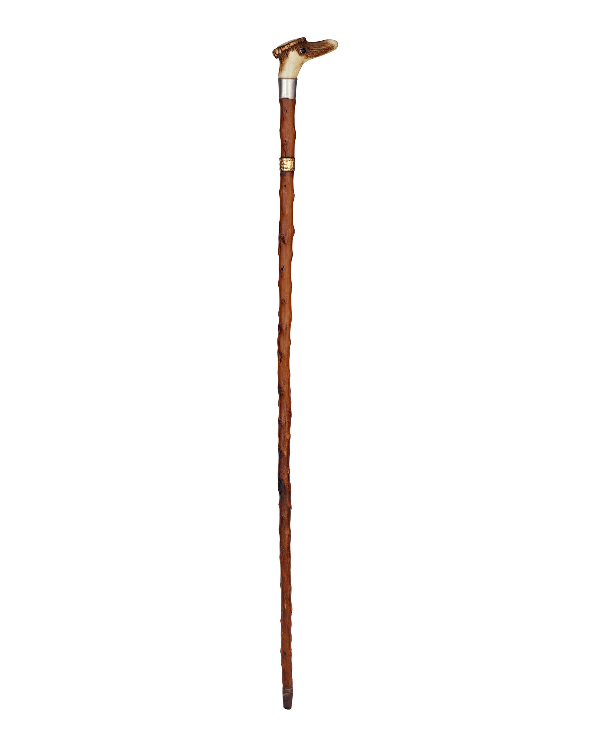 Antler Cane with Duck Face