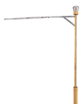Silver Handle Horse Measuring Cane
