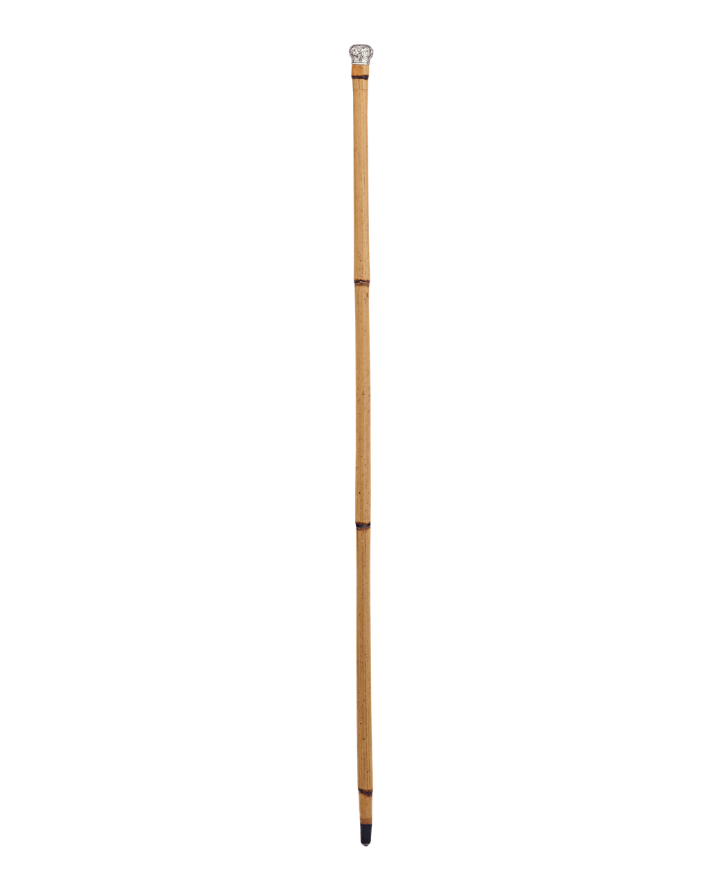 Silver Handle Horse Measuring Cane