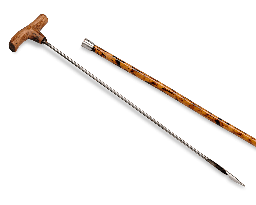 Forester's Tendril Cane