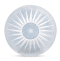 René Lalique Epis Glass Dish