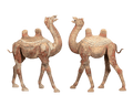 Tang Dynasty Pair of Striding Camels