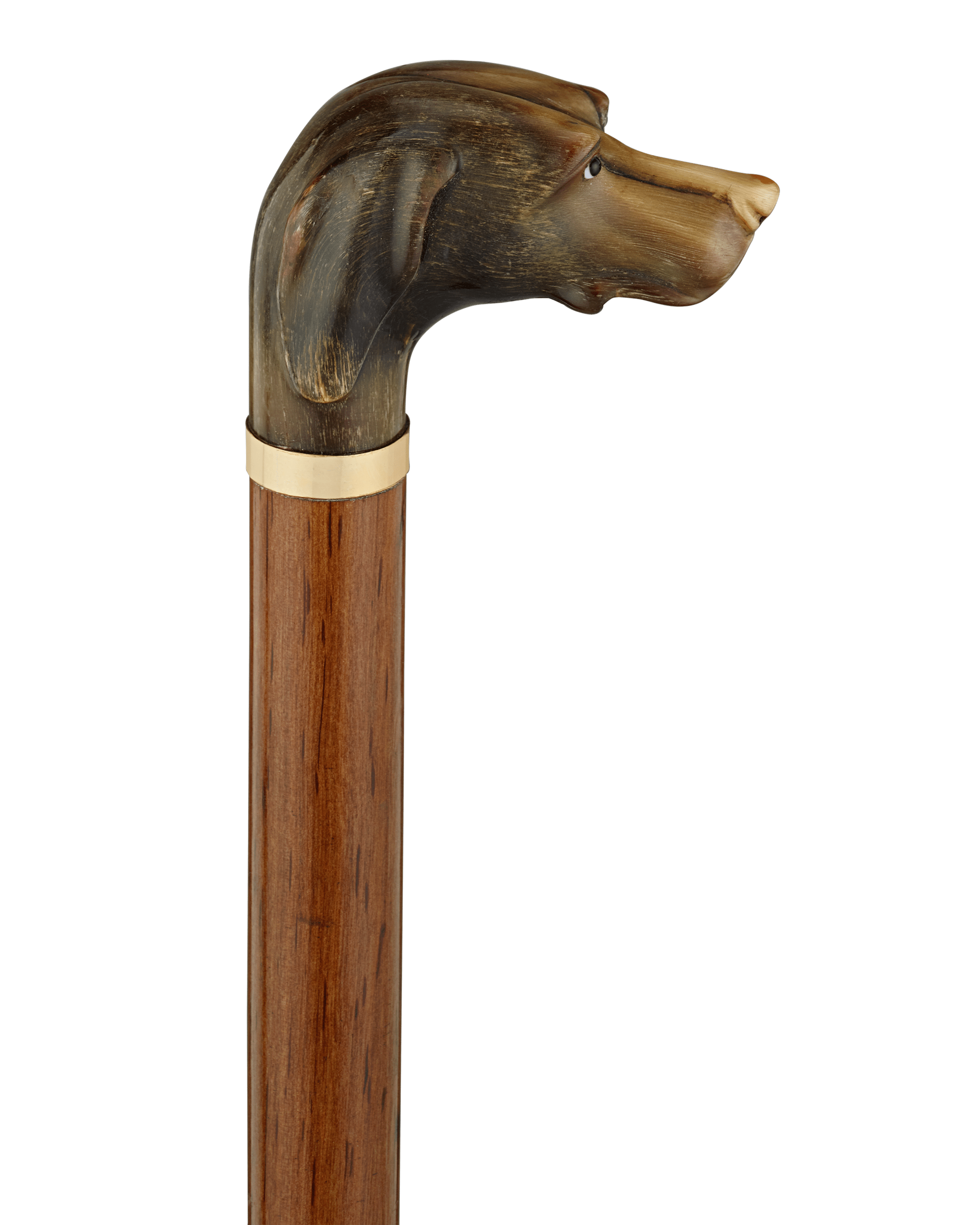 Carved Horn Dog Knob Cane