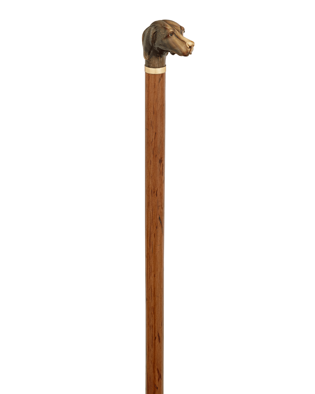 Carved Horn Dog Knob Cane