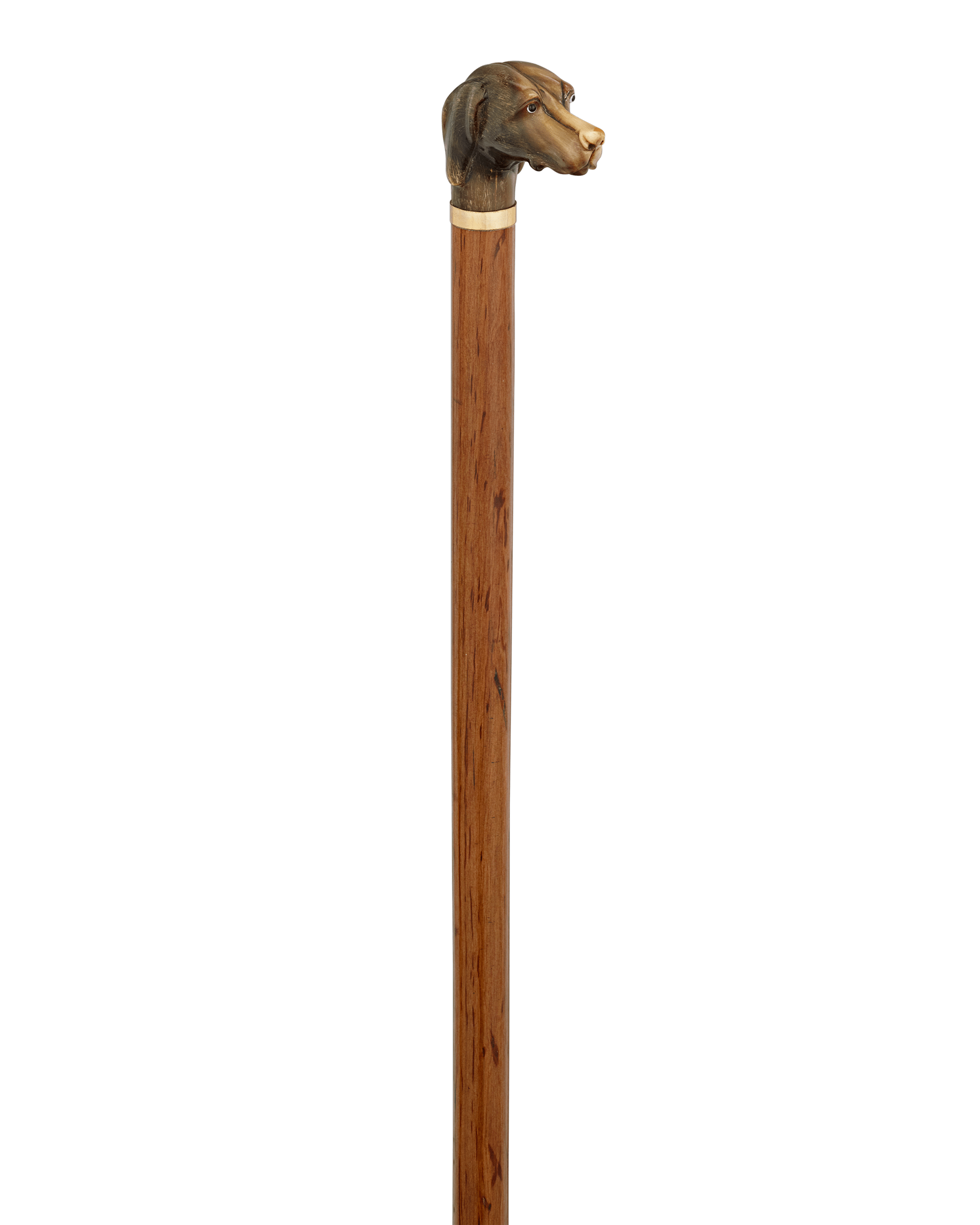 Carved Horn Dog Knob Cane