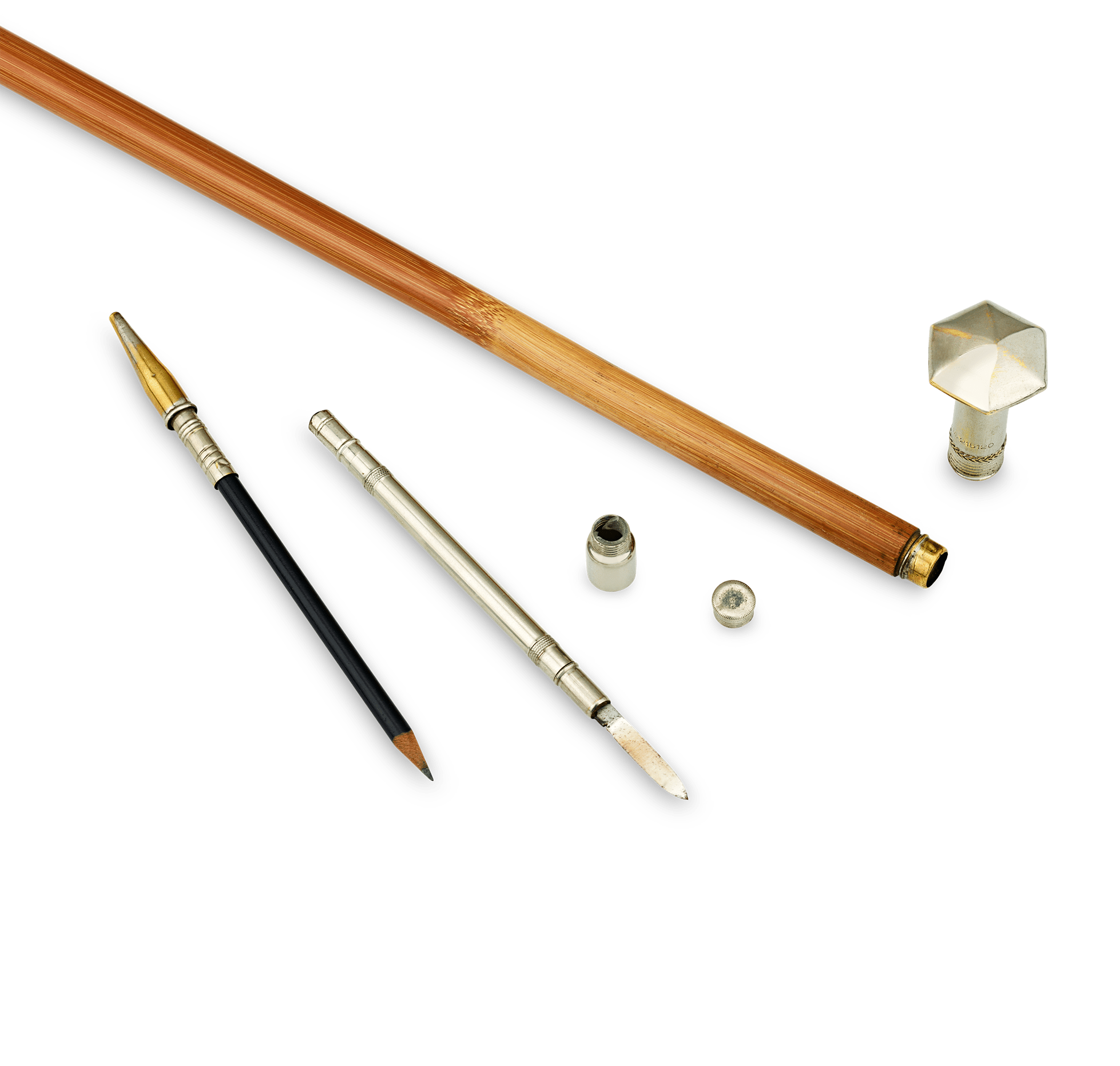 Woman’s Writer Cane
