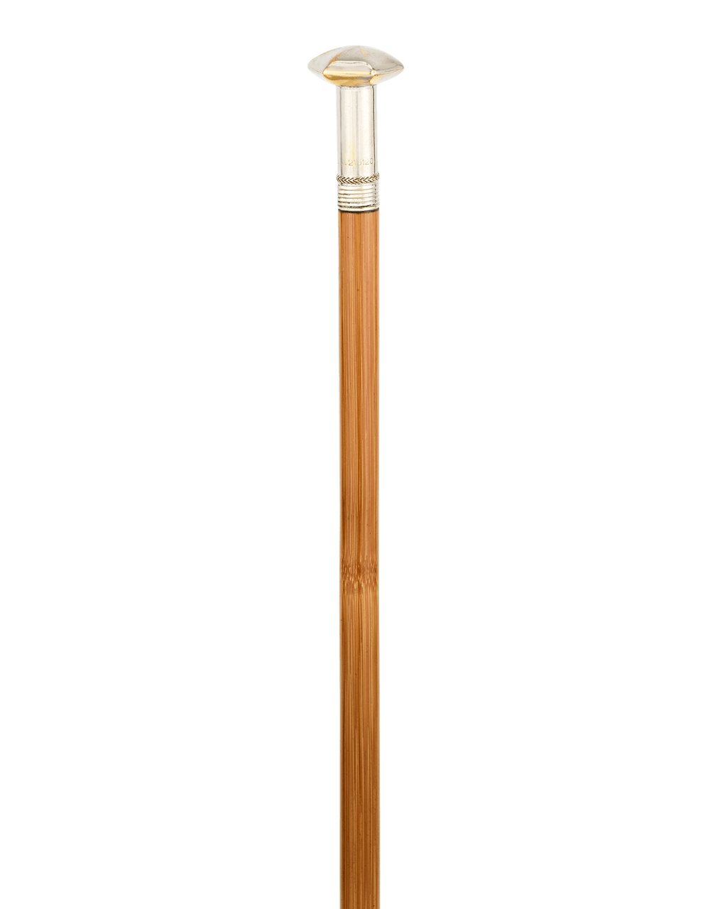 Woman’s Writer Cane