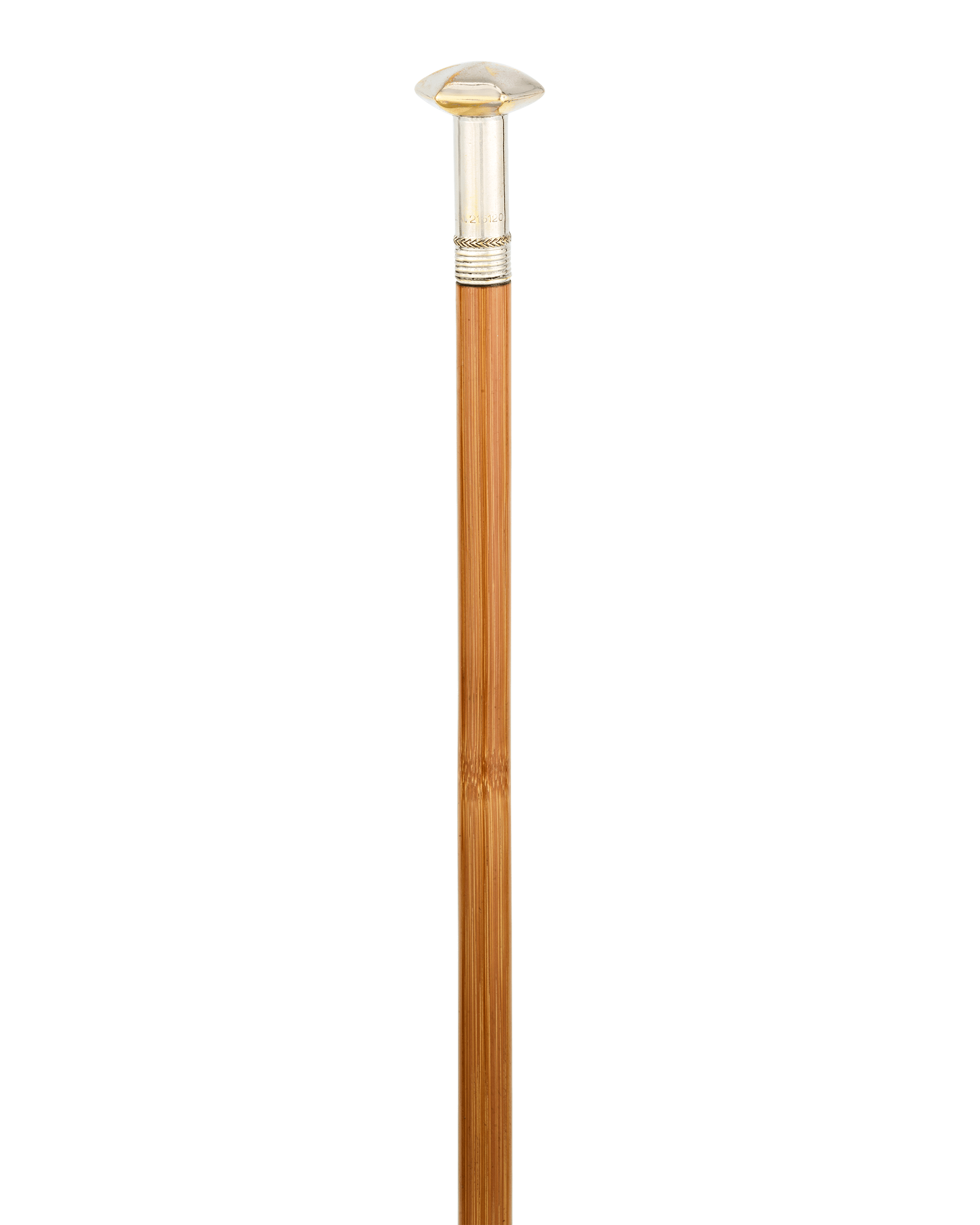 Woman’s Writer Cane
