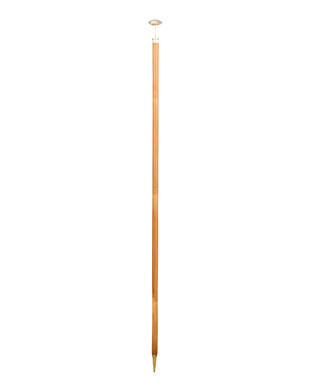 Woman’s Writer Cane