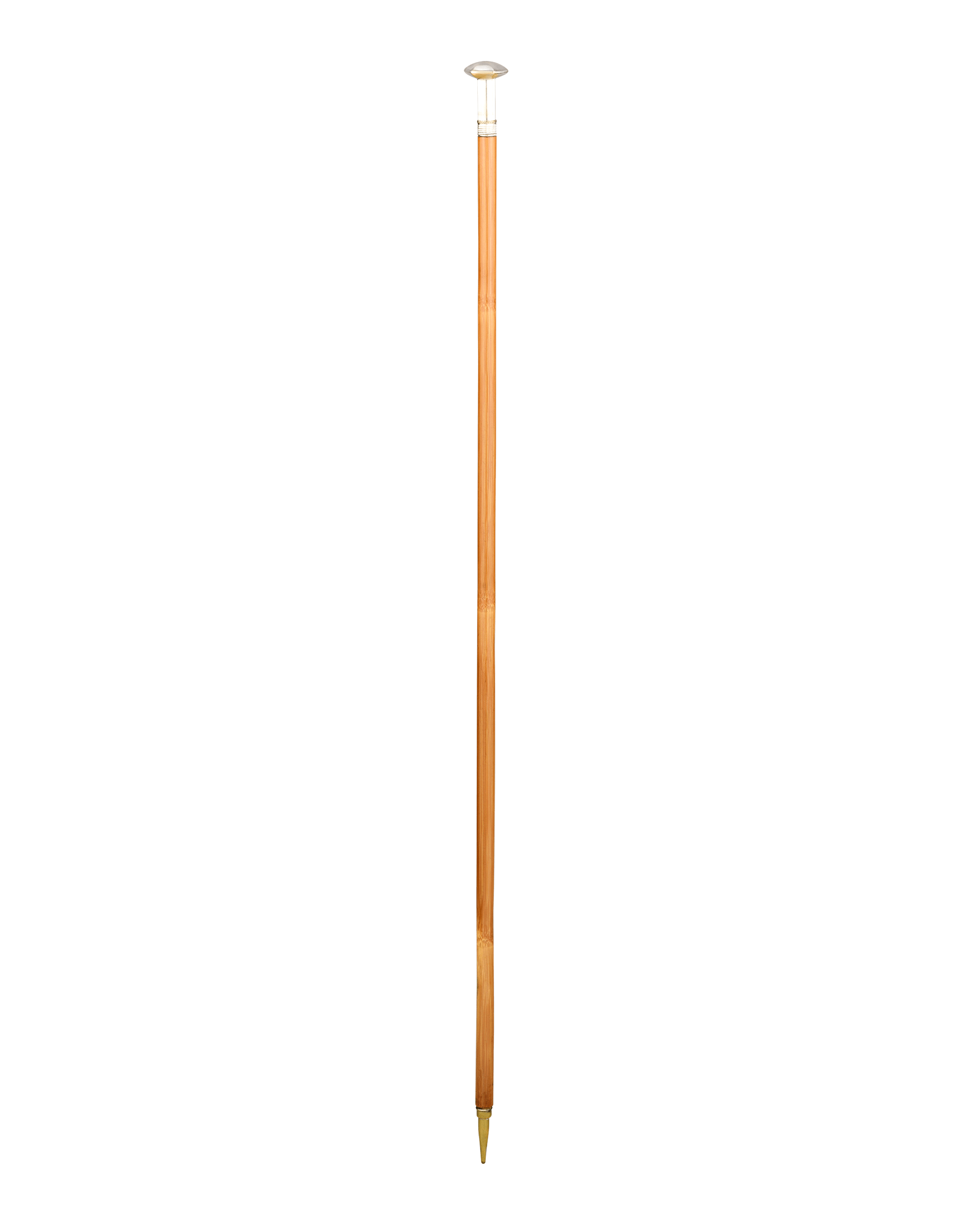 Woman’s Writer Cane