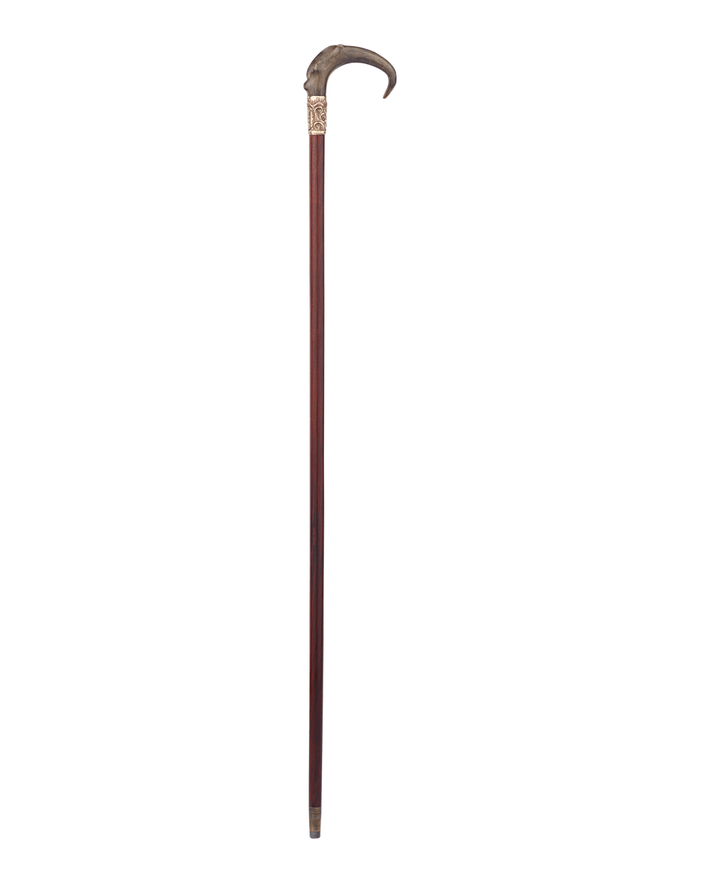 Horn Crook Cane