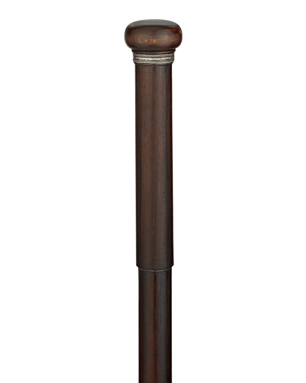 Artist's Easel Cane
