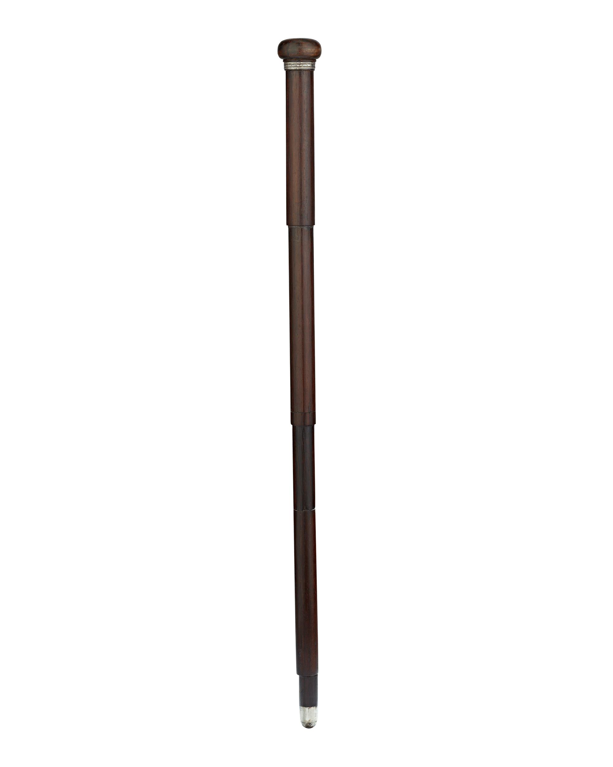 Artist's Easel Cane