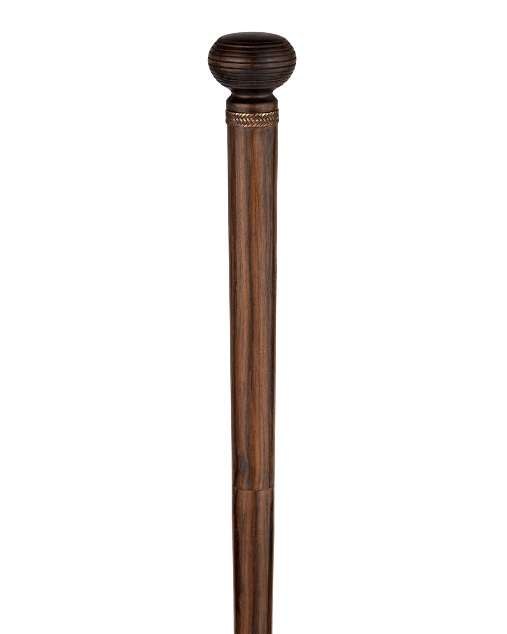 Entomologist's Cane