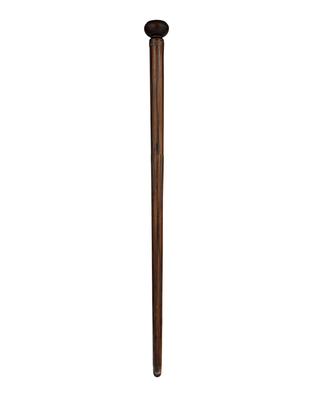 Entomologist's Cane