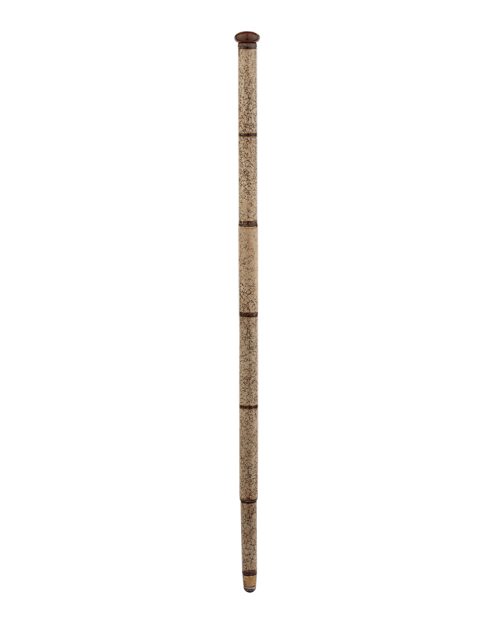 Artist Cane