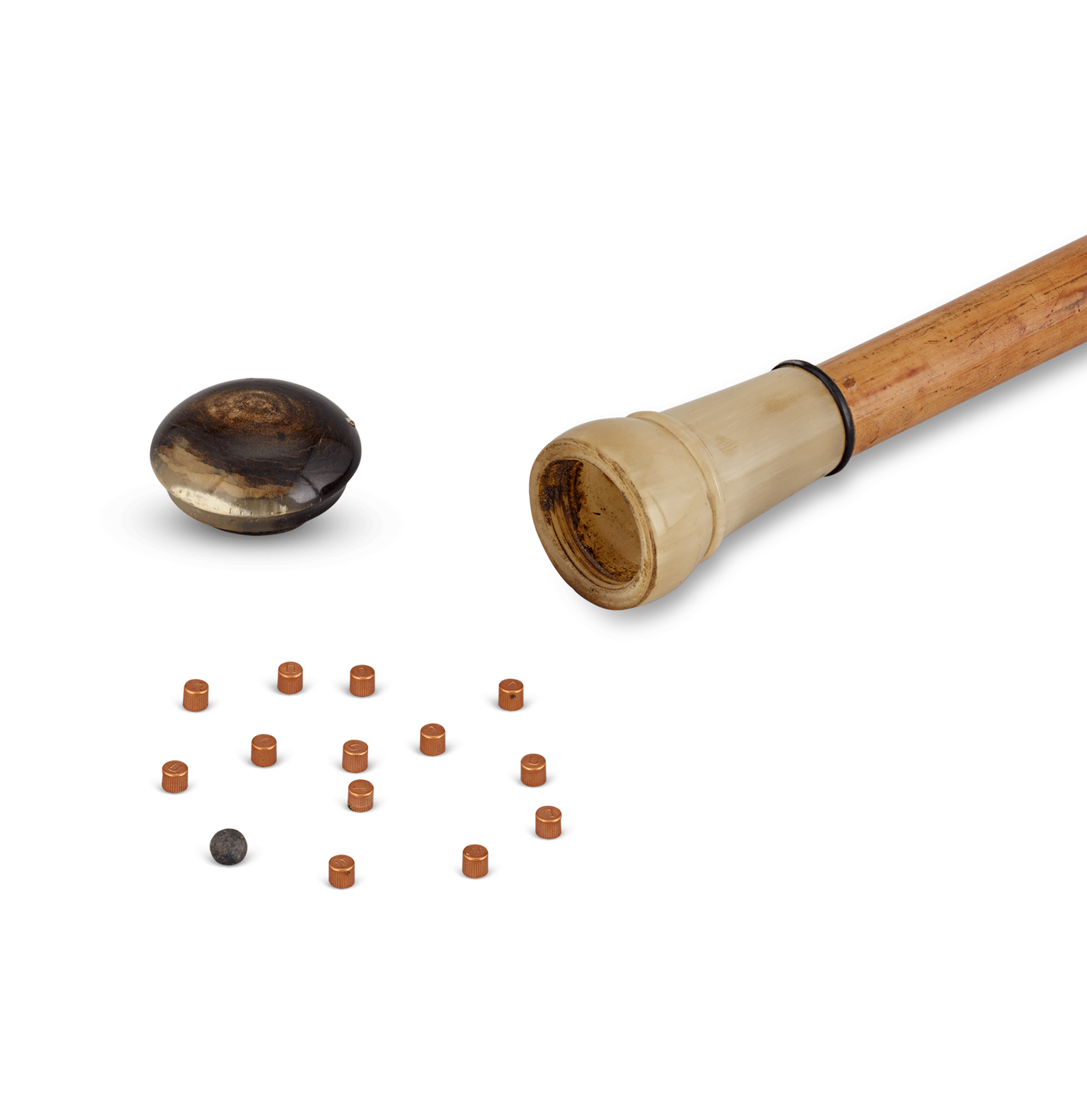 Blowgun Cane